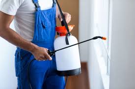 Professional Pest Control in Bonsall, CA